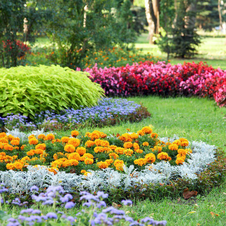 Landscaping services in Rogers, AR
