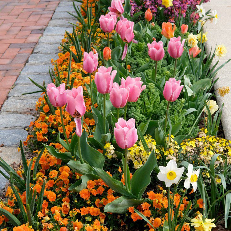 Landscaping services in Rogers, AR