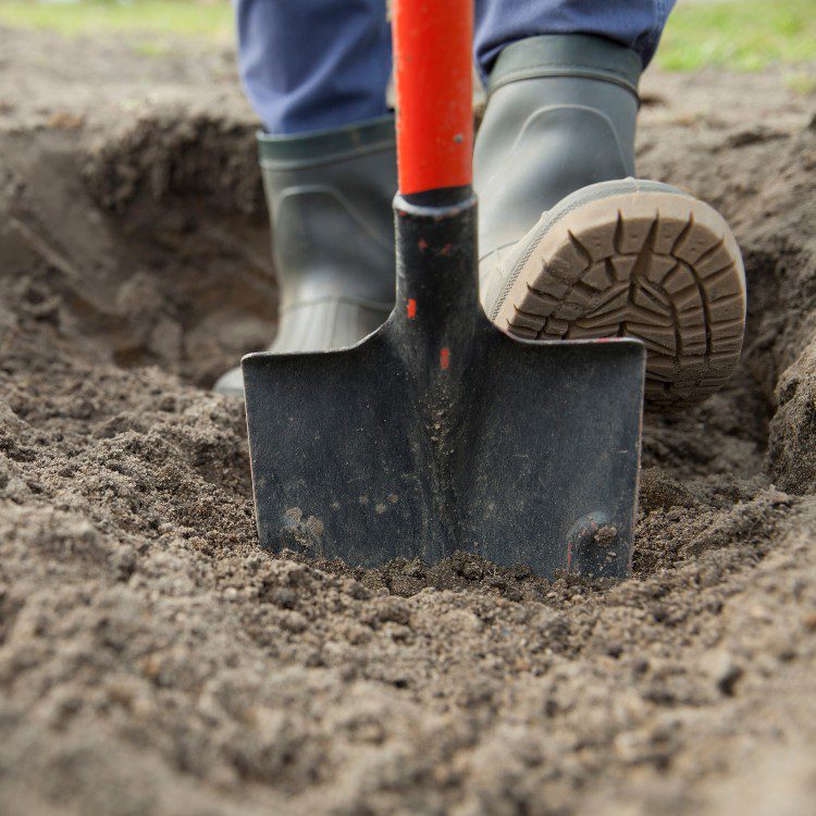 Landscaping services in Rogers, AR