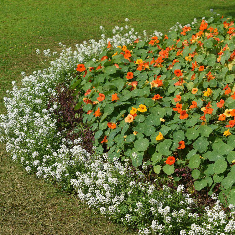 Landscaping services in Rogers, AR