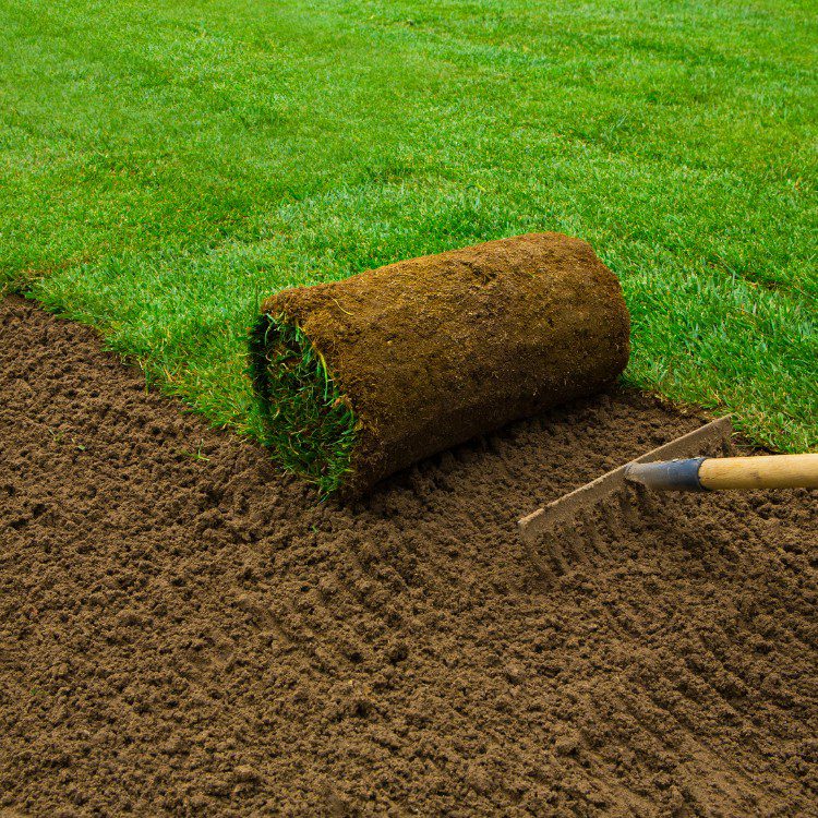 Landscaping services in Rogers, AR