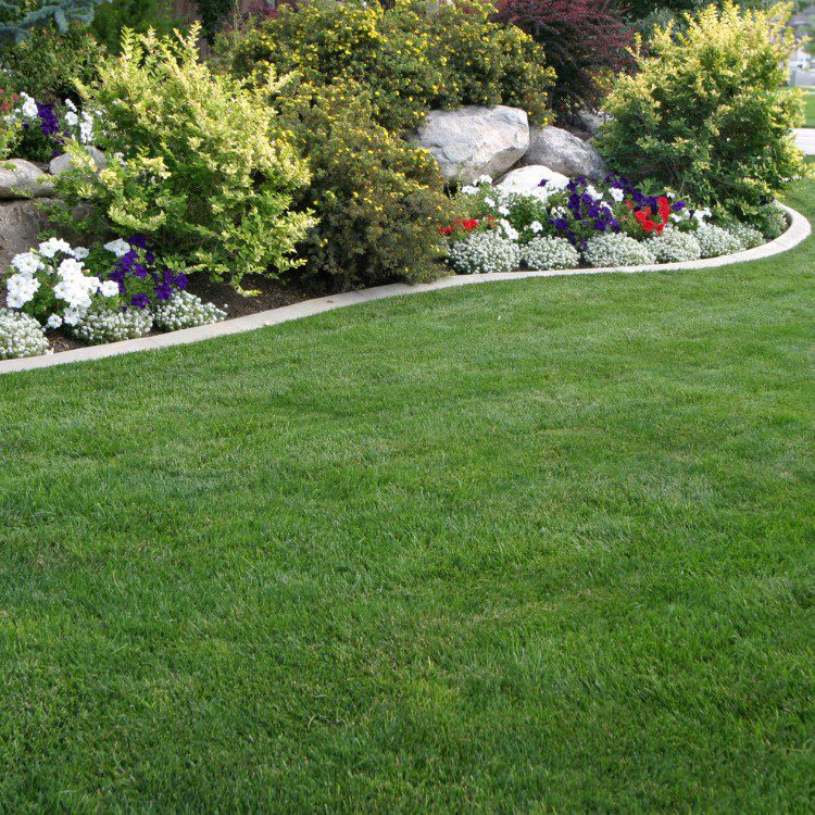 Landscaping services in Rogers, AR